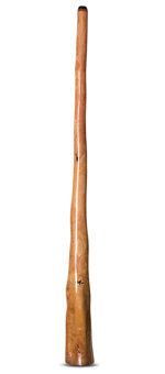Tristan O'Meara Didgeridoo (TM271)